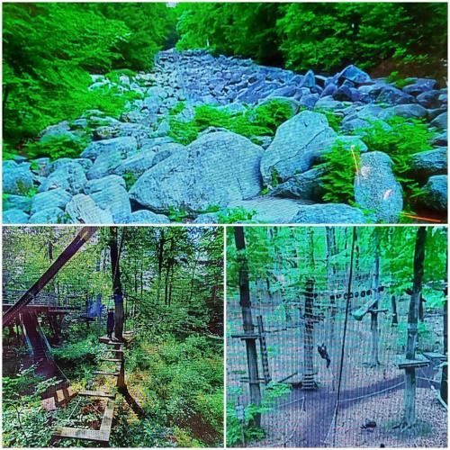 Apartment de Luxe 63 Qm Mit 2 Schlafzimmer Und Terrasse