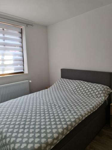 Apartamento Ferienwohnung Trifkovic 3