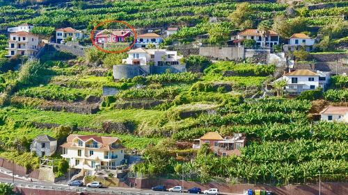 Apartamento Pink House