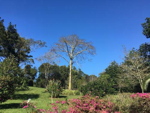 Agroturismo Pink House Azores