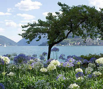 Hotel Admiral Lugano