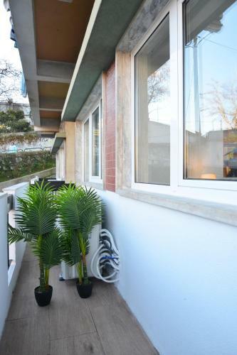 Hostal Real Home