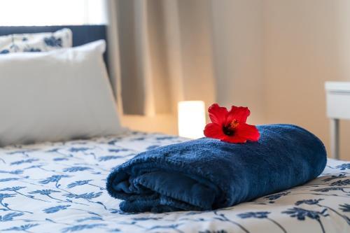 Hostal Romantik Villa