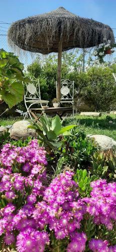 Hostal Blacksheep Sagres Guesthouse & Surf