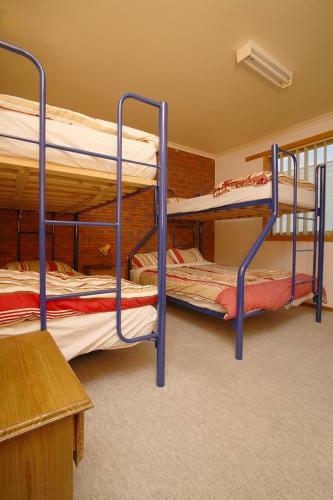 Albergue Apollo Bay Backpackers
