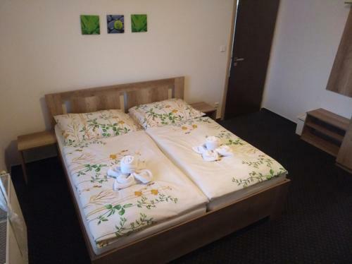 Hostal Penzion Zaje?�k