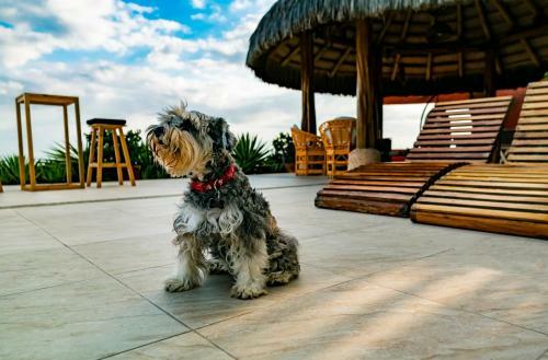 Bed & Breakfast Hotel Boutique Playa Canela Ecuador