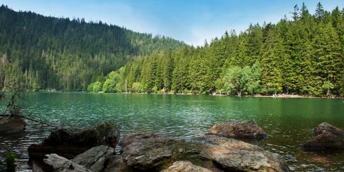 Apartm�ny Alpsk� D?m