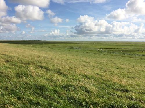 Apartamento Landhaus Nordsee-peerhuus