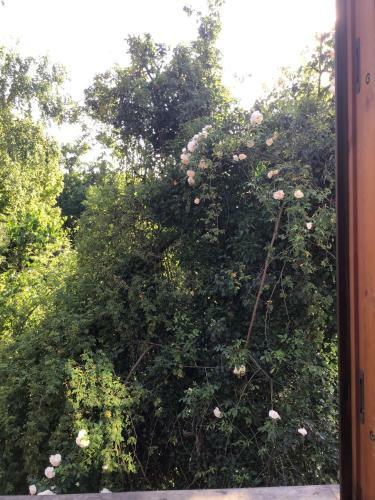 Apartamento Fewo Spitzweg, Garlstorf - L�neburger Heide