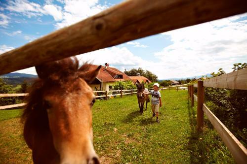 Agroturismo Tourist Farm Ur?ka