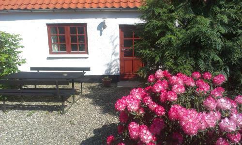 Bed & Breakfast Vranum Guesthouse