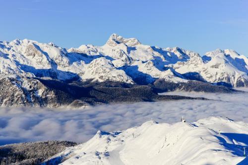 Chalet Hostel Murka