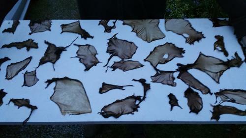 Apartamento Gite D'artiste 50m De La Mer