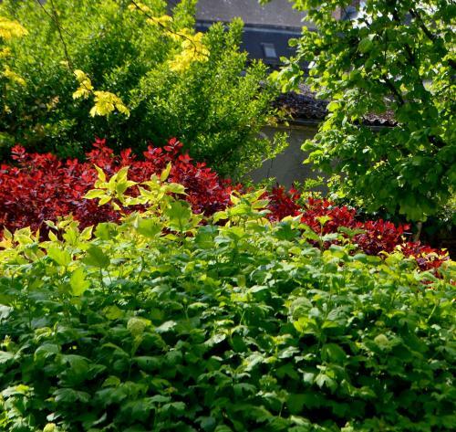 Bed & Breakfast Chambre D'h�tes El Vigot Plaza