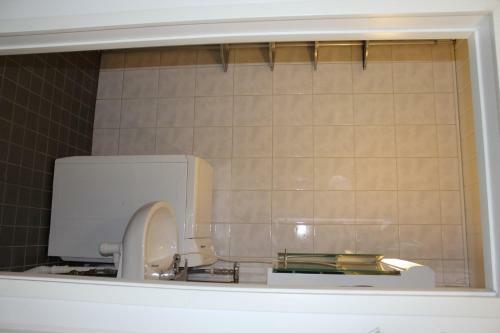 Uni-sieppari Apartment