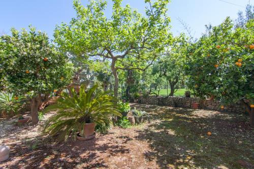 Villa Pontons