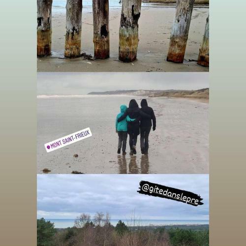 G�te Dans Le Pr� Hesdin L'abb�
