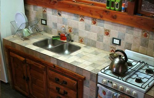 Lodge Caba�as Brazo Huemul