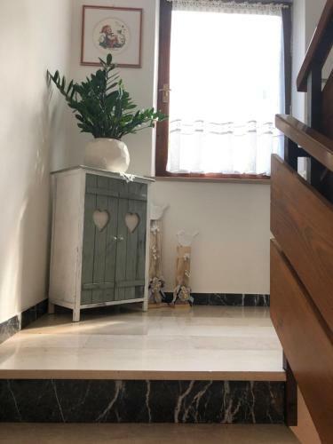 Apartamento Appartamento Primiero San Martino Di Castrozza