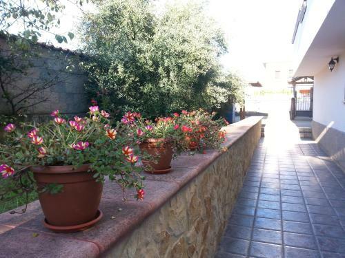 Apartamento Domus Vittoria