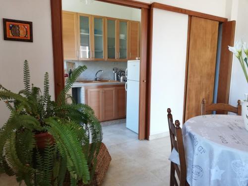 Apartamento Domus Vittoria
