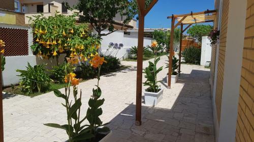 Bed & Breakfast Un Passo Dal Mare
