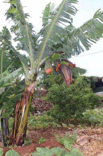 Vivenda Da Natureza
