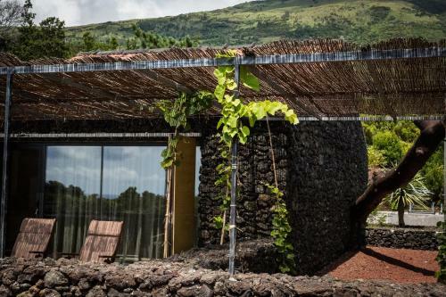 Casas Do Amarelo