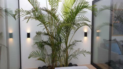 Apartamento Home At Azores - Oasis House