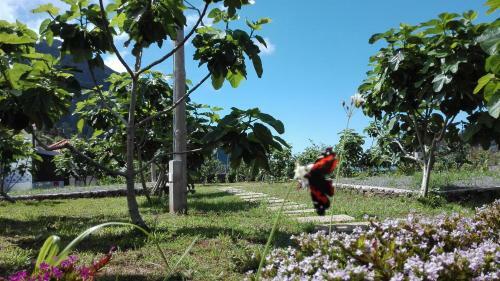 Agroturismo Granny's Farm