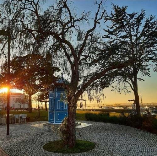 Apartamento O Pescadinha