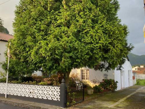 Apartamento The Cedar Tree House Studio 48