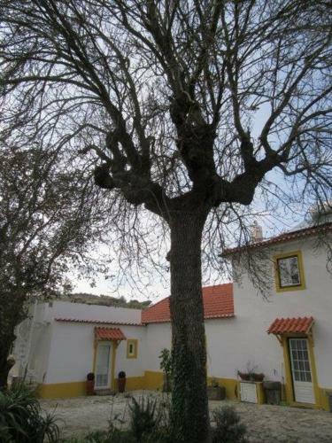 Apartamento Quintal Do Freixo - Country House