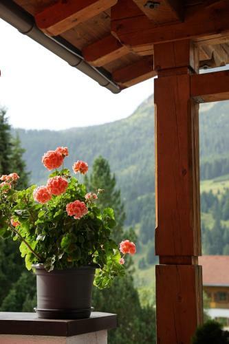 Hotel Wildanger