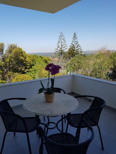 Agroturismo Quinta Casa Portuguesa