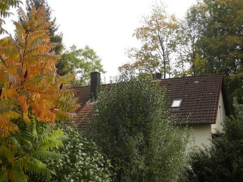 Apartamento Goldener Fuchs In Moschendorf