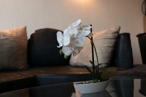 Apartamento Hahnenklee Ferienpark 409 & 211