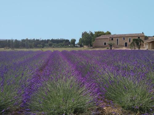 Bed & Breakfast Mas Des Fugueyrolles