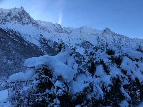 Apartamento Mont Blanc 43, Vue Mont Blanc , Balcon, Parking