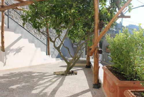 Apartamento Domus Caterina