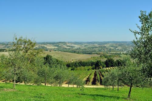 Apartamento Agriturismo Il Pino - Appartamento Querce