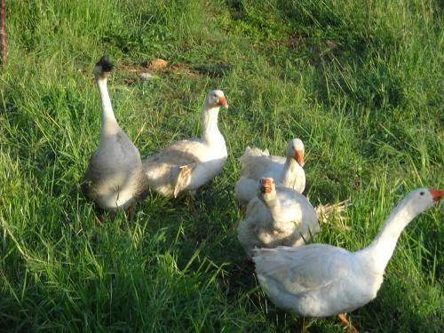Azienda Agricola 25 Ponti