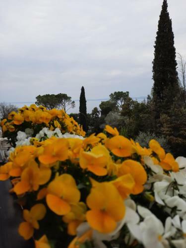 Apartamento Garda Lake In Euroresidence