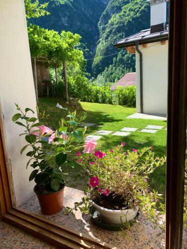 Apartamento Casa Curti