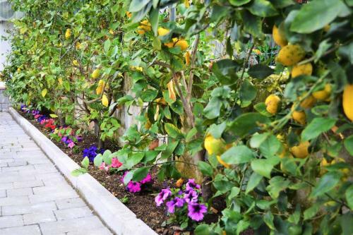 Bed & Breakfast Casa Fiorita