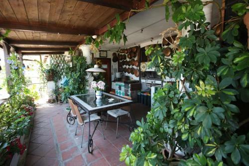 Casa Angelina