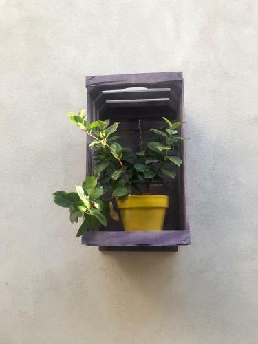 Hostal Vesuvio Rooms
