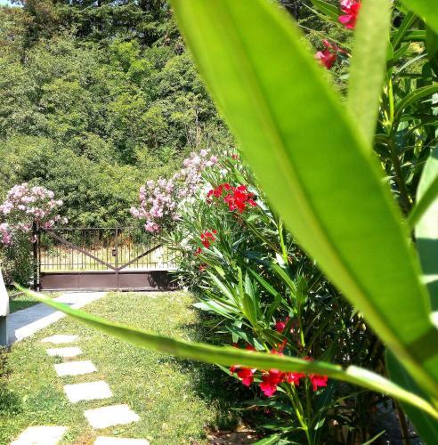 Apartamento Le Giare House