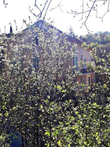 Apartamento Le Giare House